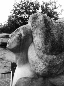 The Creative Society