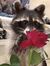 Clara