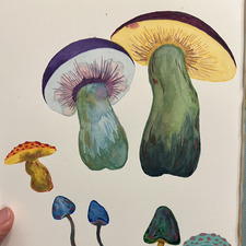 Patch Shuen-Mitchell