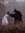 Nour