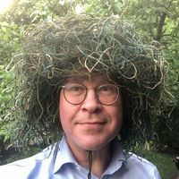 Magnus Andersson