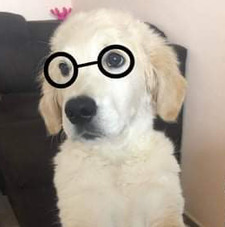 Mona Williams