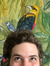 Matt Marsan
