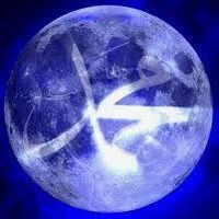 محمد احمد ربيع