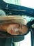  vivien