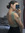 Jade Th...