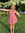 Lilly Hubbs | 1 comments
