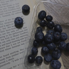 The Blueberry Library