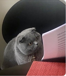 Zohreh