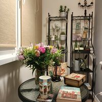 Вікторія Панасюк