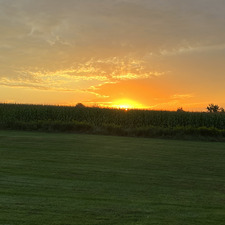 Kari Colombo