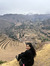 Pratibha