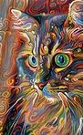 Moosky