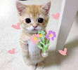 huynh