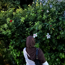 tasnim