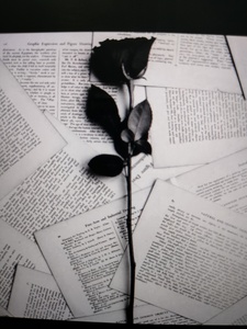 Bookworm