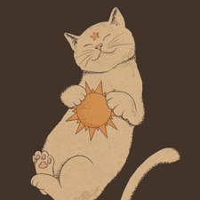 taylor ‧͙˚*･☾