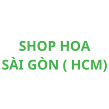 Shop Hoa  Alo Flowers