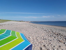 Sarah Egan