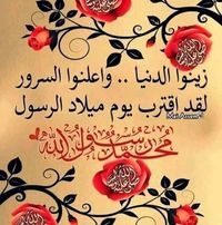 آلاء حسنى