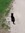 Hatice (hatilla) | 1 comments
