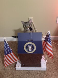 Ed