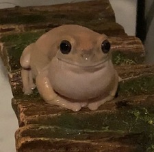 Helen