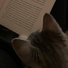 ♡‧₊˚*mycatsbookshelf ‧₊˚*♡