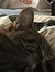 Lucie M...
