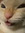 Mimlord
