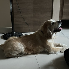 Jose Eduardo Rodriguez