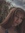 Cyndle