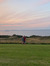 Iona Sw...