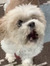 Isabell...