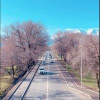 Камила Советова