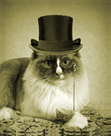Theodore