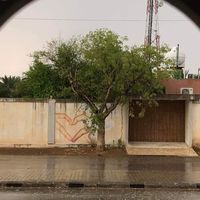 Nour Mohamed