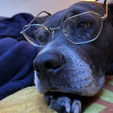 Izzy Adastra