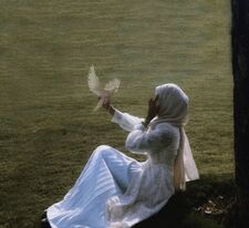 ✧ Lujain ✧