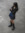 Jamila