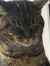 Mathilde