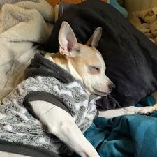 I’m_Sleepy