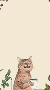 Meštrović Tomislava