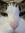 Cat Cat