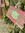 member photo member photo