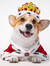 King Puppy