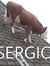 Sergio