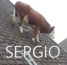 Sergio