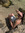 Frances Peck
