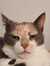 Yuval